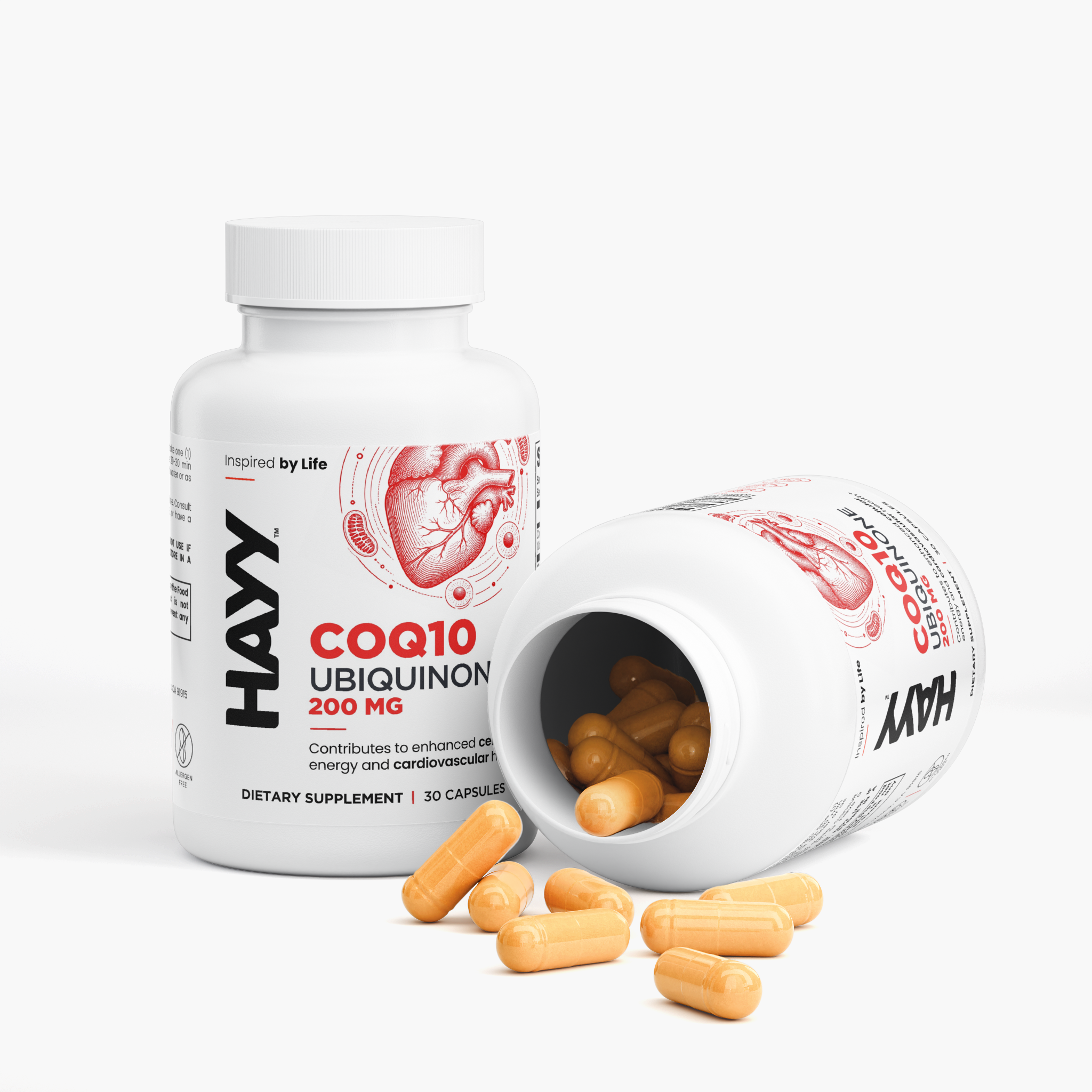 CoQ10 Ubiquinone